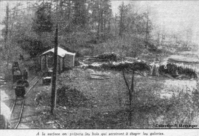 Le chantier des bois