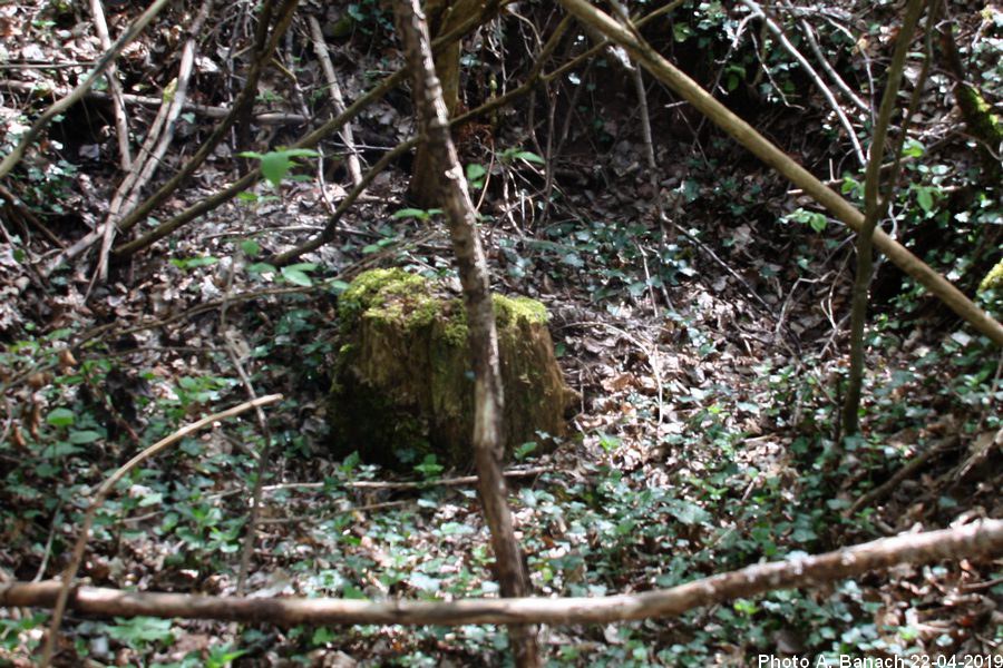 Emplacement puits