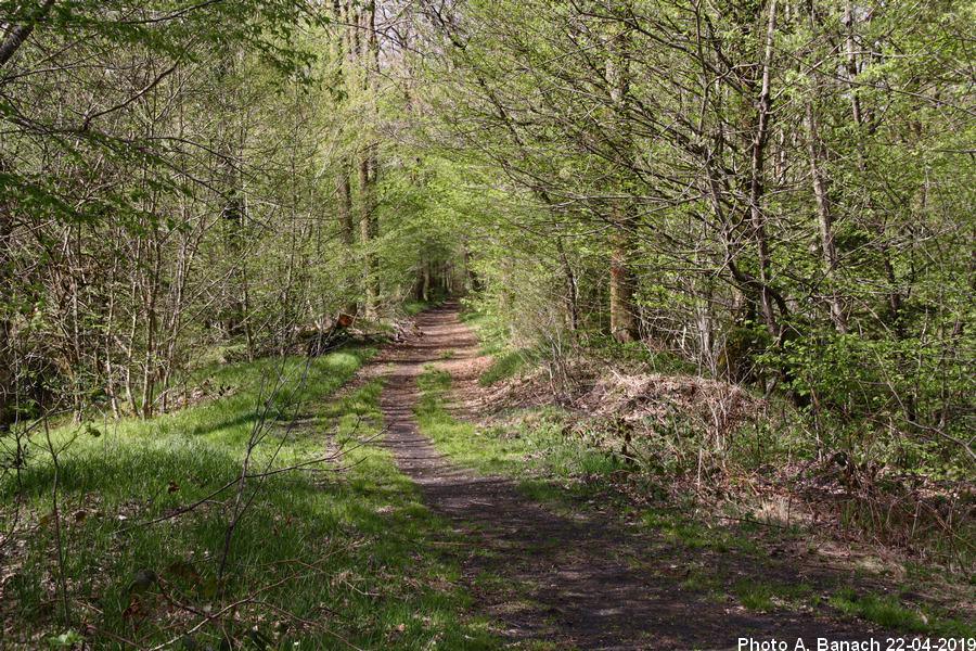 Sentier