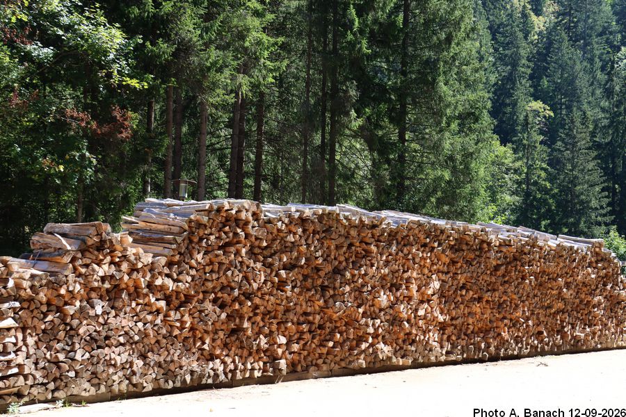 Le tas de bois