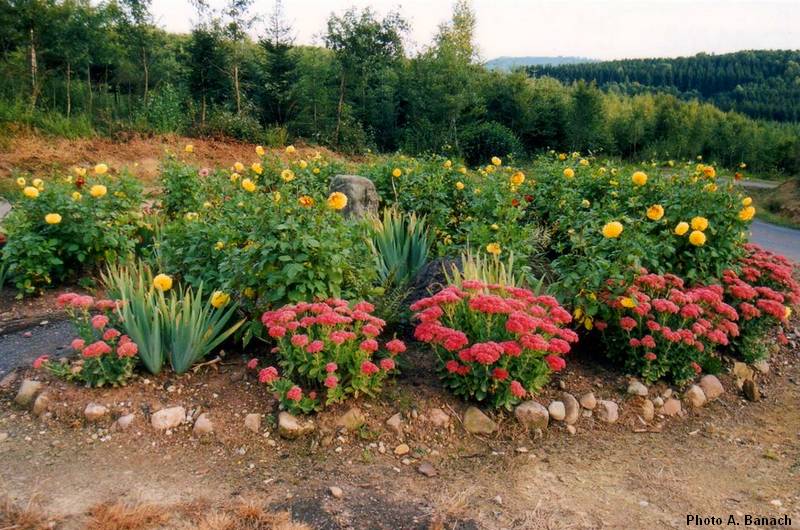 La borne fleurie