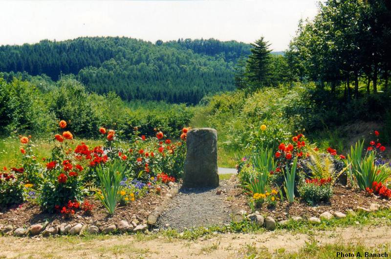 La borne en forêt