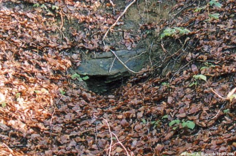 Emplacement d'une galerie