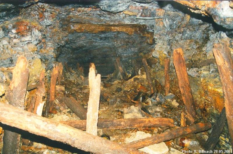Fonçage Robert