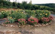 La borne fleurie