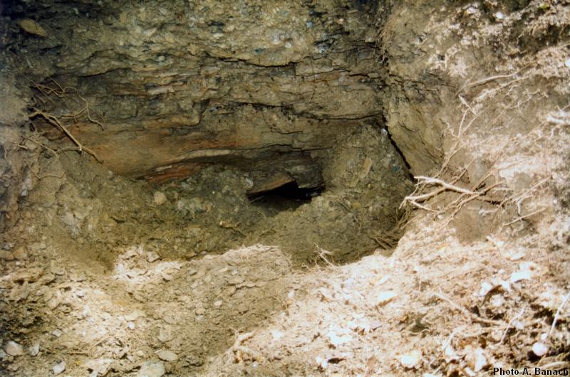 L'entrée de la galerie