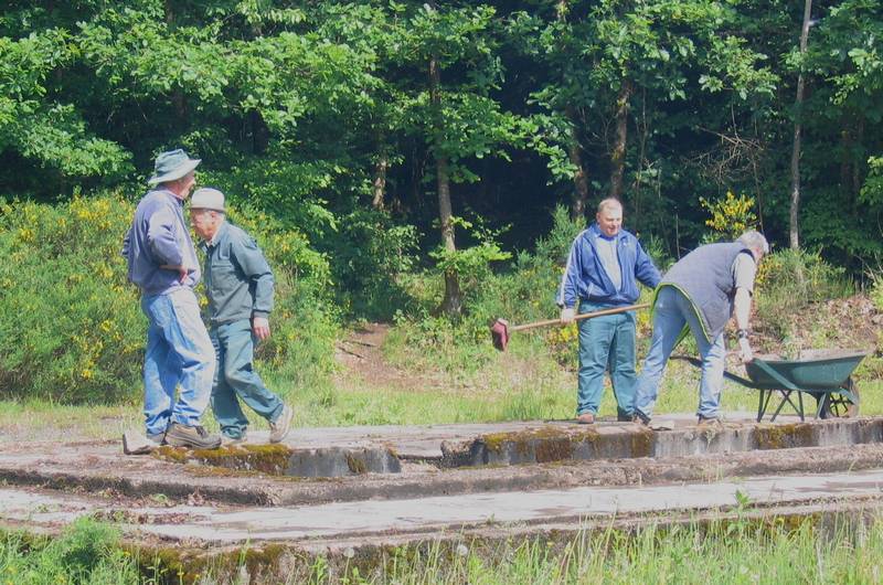 Un groupe au travail