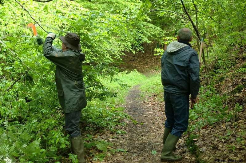 Elagage du sentier minier