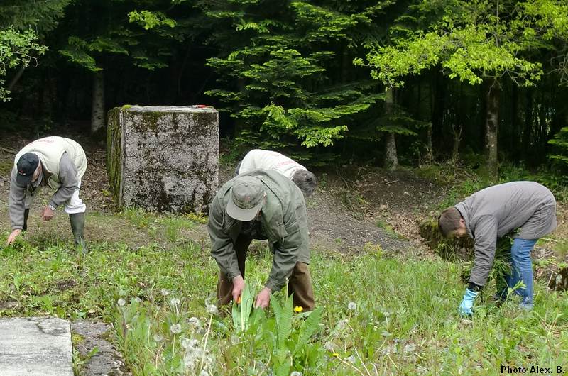 Le jeu du travail ??