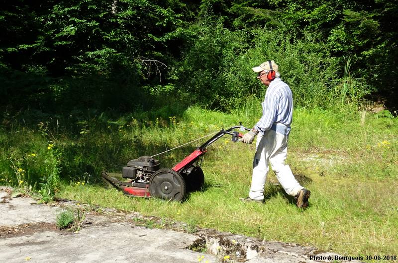 La tondeuse en action