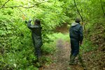 Elagage du sentier