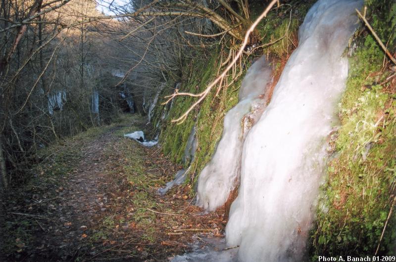 Le chemin de halage