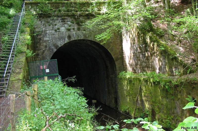 Le tunnel à Franier