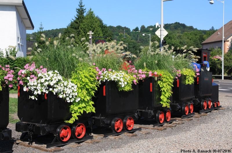 Train fleuri