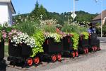 Petit train fleuri