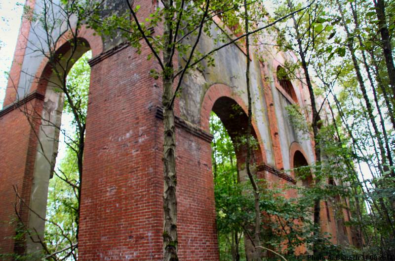 Les ruines centenaires