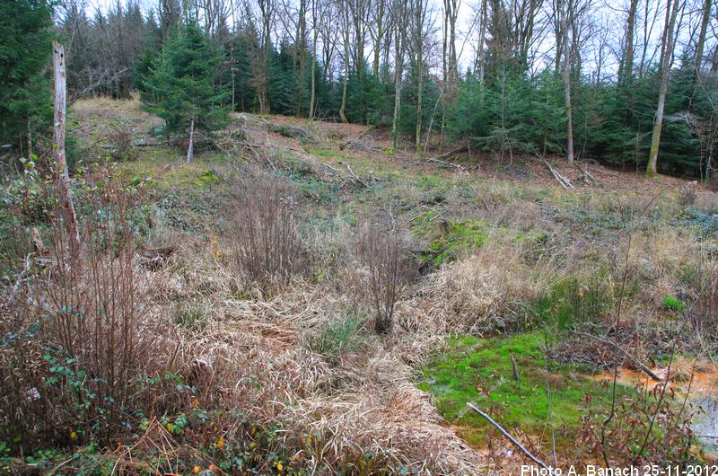 La rigole débouche au pied de ce talus