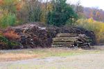 Le tas de bois