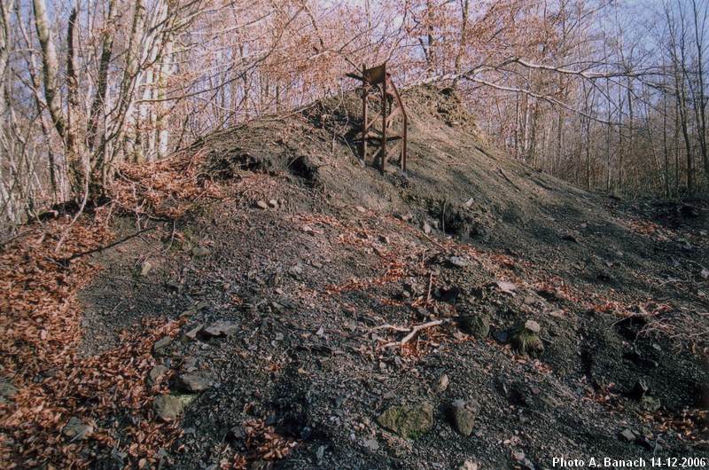 Petit terril en forêt