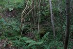 L'emplacement du puits Sainte-Pauline