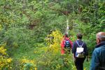 Le groupe dans les broussailes du Puits