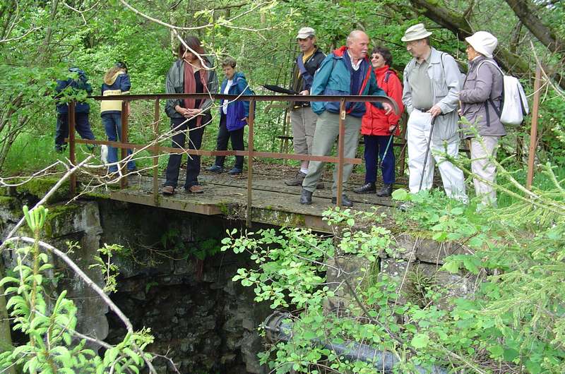 Le petit pont en fer