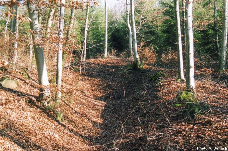 Les travaux de Saint Desles