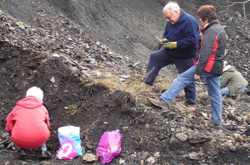 Dans les terrils du puits du Magny