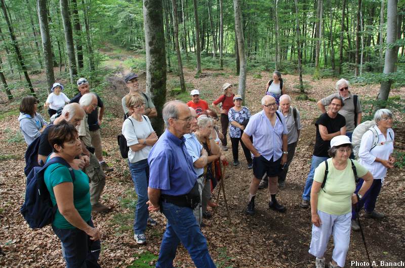 Une halte au vieux travaux de Saint Desles