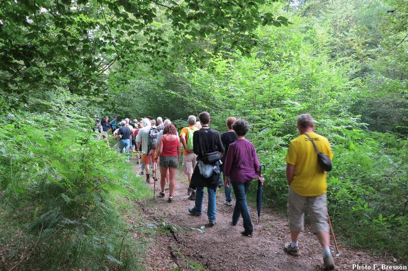 Les randonneurs sur le chemin du terril