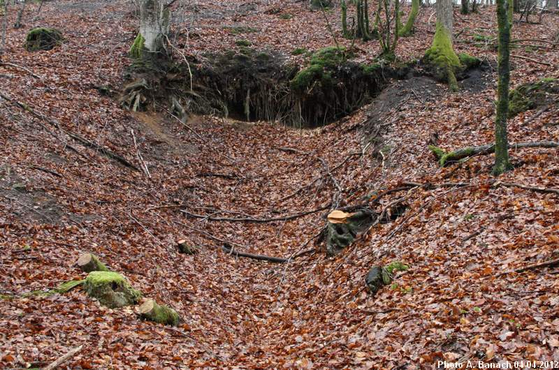 L'emplacement de galerie