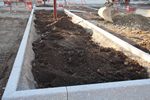 Un futur parterre de fleurs