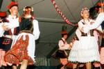 Danse folklorique