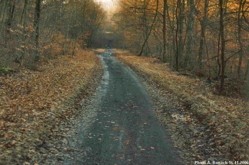 Chemin de l'ancienne voie ferrée