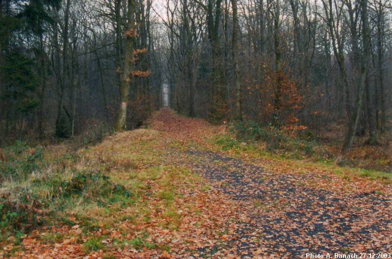 Voie ferrée de St Pauline