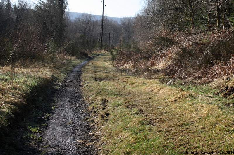 Chemin vers le puits du Tonnet