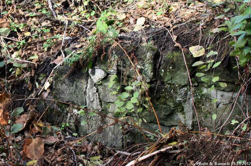 Vestige de la pile de pont