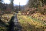 Chemin vers le puits du Tonnet