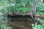 Piliers de bois dans l'eau