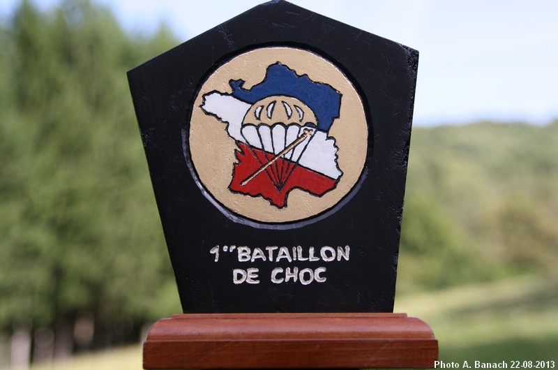 Insigne du 1er bataillon de choc