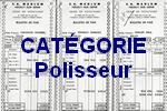 Catégorie polisseur