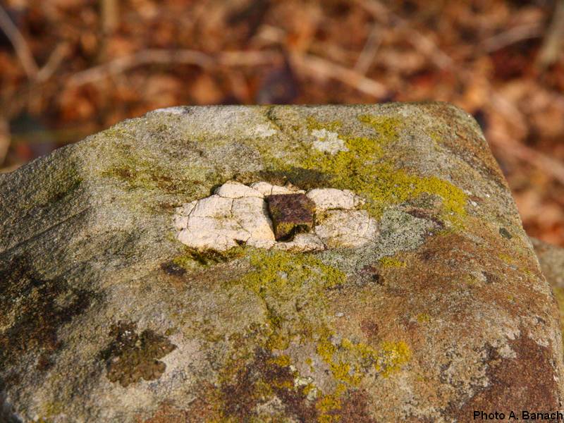 Le moignon métallique