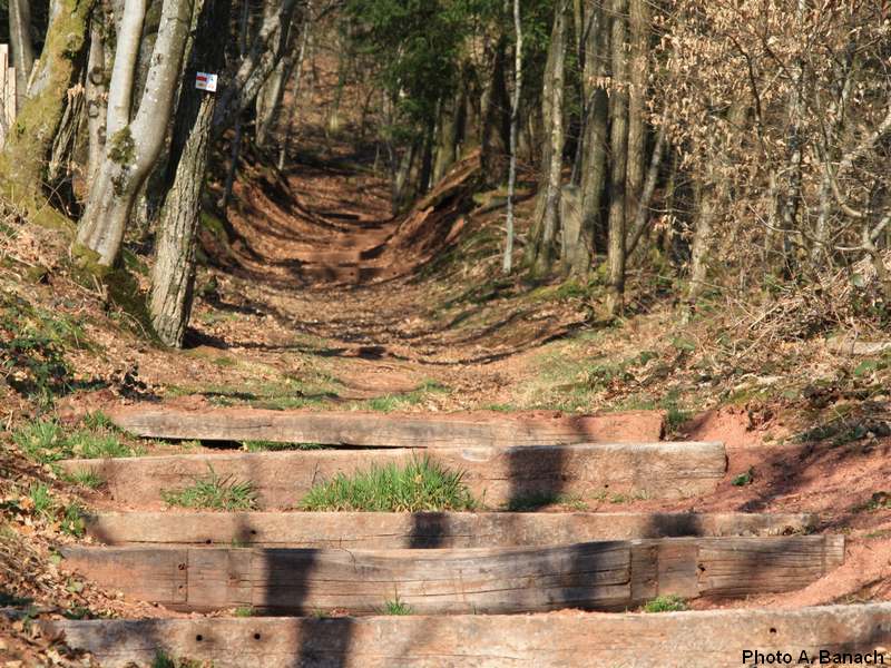 Le sentier du chemin de croix