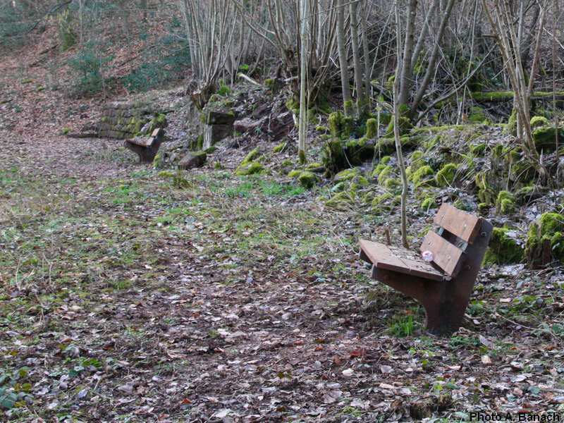 Les ruines de l'ancien chalet