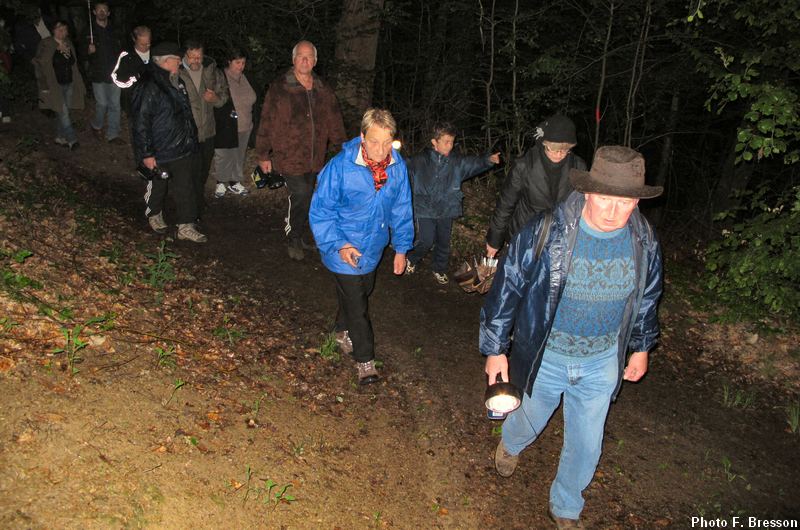 Balade sur le sentier