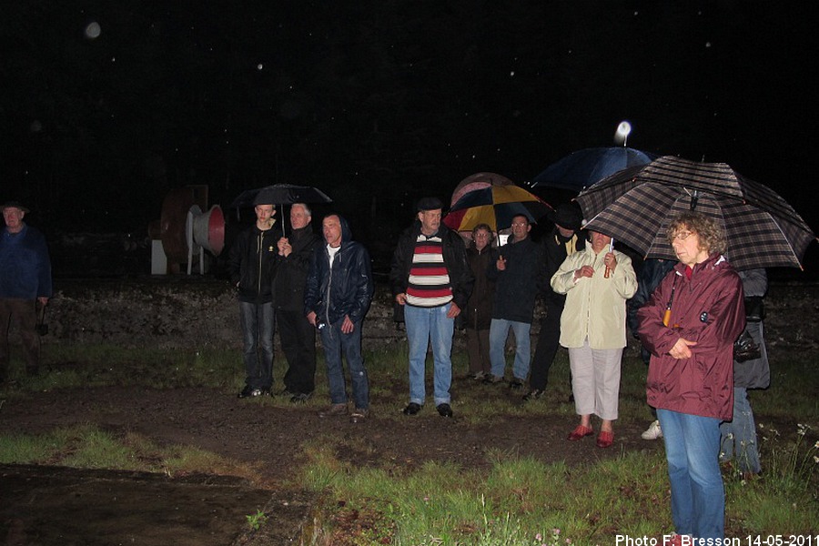 Participants