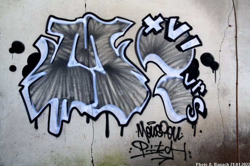 Graffitis et tags